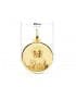 V. du Mont Carmel et C. Jésus Or 18K Scapulaire Biseauté 20 mm