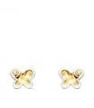 Clous d'oreilles Bébé Ragna Or Bicolore 18K papillon 5mm