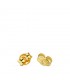 Fornitura Presión Oro Amarillo 18K