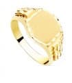 Siegelring in Gold 750 07000843