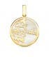 Pendentif Nacre Prénom personnalisable Or Jaune 18K