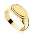 Sello hombre Nolan Amarillo Oro 18K macizo