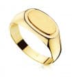 Siegelring in Gold 750 07000028