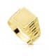 Sello cadete Zamir Oro Amarillo 18K