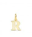 Pendentif initiale en or 18 carats R