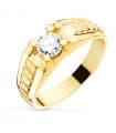 Siegelring in Gold 750 P904026