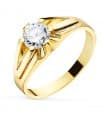 Siegelring in Gold 750 P904003