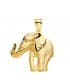 Pendentif homme Éléphant Or 18K