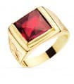 Siegelring in Gold 750 P905701-RO