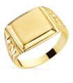 Siegelring in Gold 750 P91000