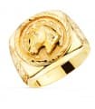 Siegelring in Gold 750 P663