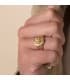 Alda Joyeros, joyería online | Sello León Oro Amarillo 18K | comprar coyas on line de hombre
