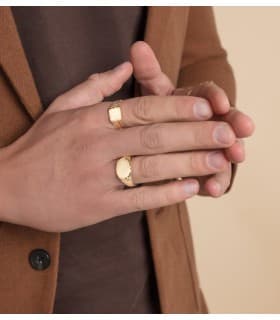 Alda Joyeros, joyería online | Sello hombre Gustav Amarillo Oro 18K macizo | anillos personalizados