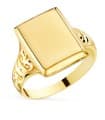 Siegelring in Gold 750 P4375