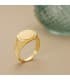 Siegelring in Gold 750 P904120