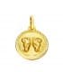 Aries espiral  16mm