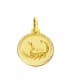 Medalla colgante horóscopo Escorpio Signo del zodiaco oro 18k