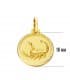 Medalla colgante horóscopo Escorpio Signo del zodiaco oro 18k