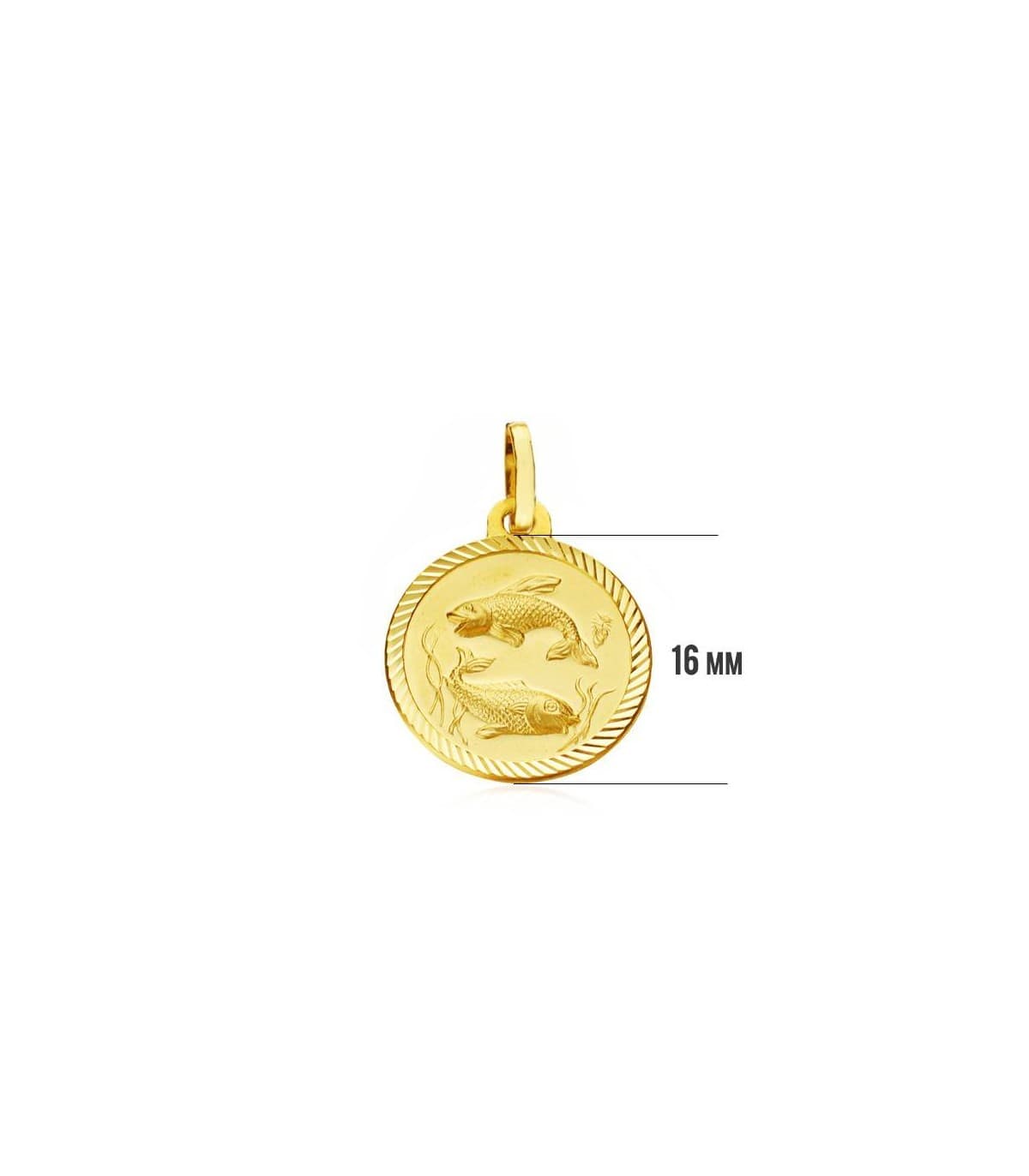 Piscis espiral  16mm