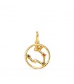 Pendentif Horoscope Poissons Or 18K Constellation