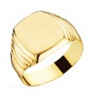 Siegelring in Gold 750 19161