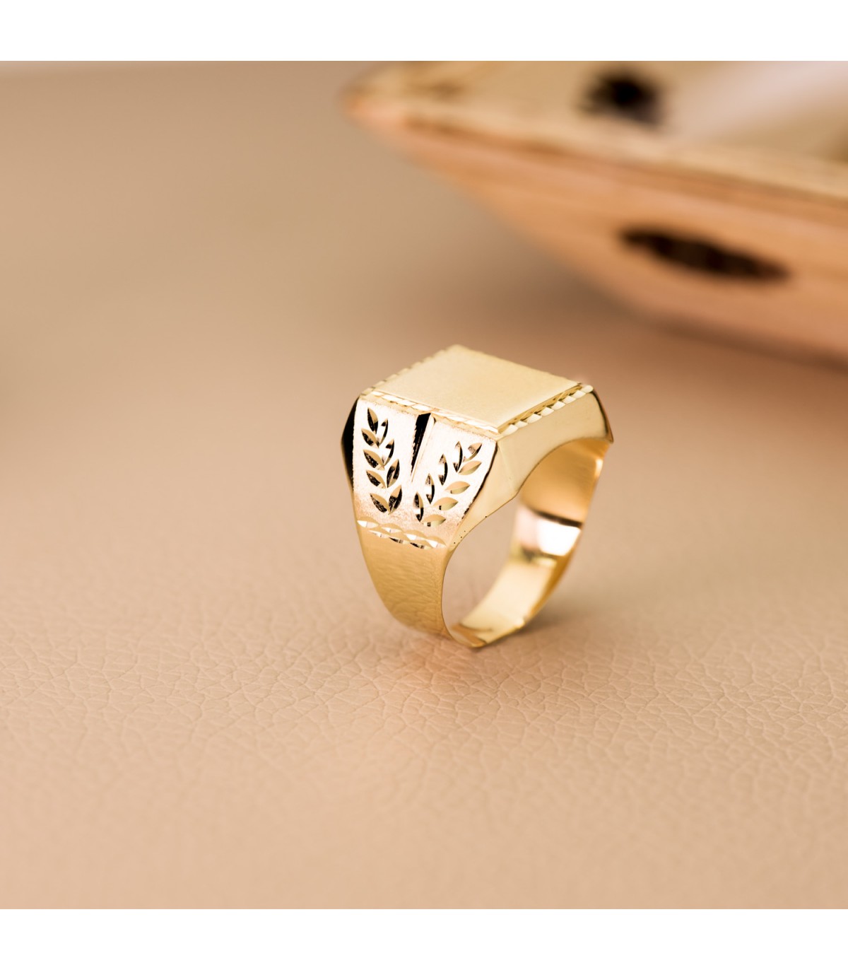 Siegelring in Gold 750 19237