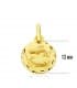 Pendentif Zodiaque Poisson sculpté 18 Carats 13mm
