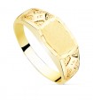 Siegelring in Gold 750 P904203
