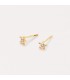 Pendientes Star Diamantes 0.060 Qtes. OA 18K | comprar en joyería online pendientes de mujer