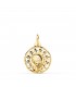 Médaille Vierge Étoiles 18 Carats