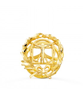 Insignia Bellas Artes Oro 18K - Pin profesiones - carreras universitarias - emblema, escudo de oro