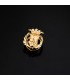 Insignia Ciencias exactas Oro 18K - Pin profesiones - carreras universitarias - emblema, escudo de oro