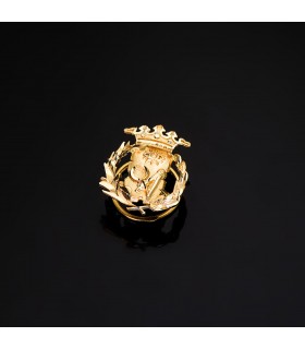 Insignia Ciencias exactas Oro 18K - Pin profesiones - carreras universitarias - emblema, escudo de oro