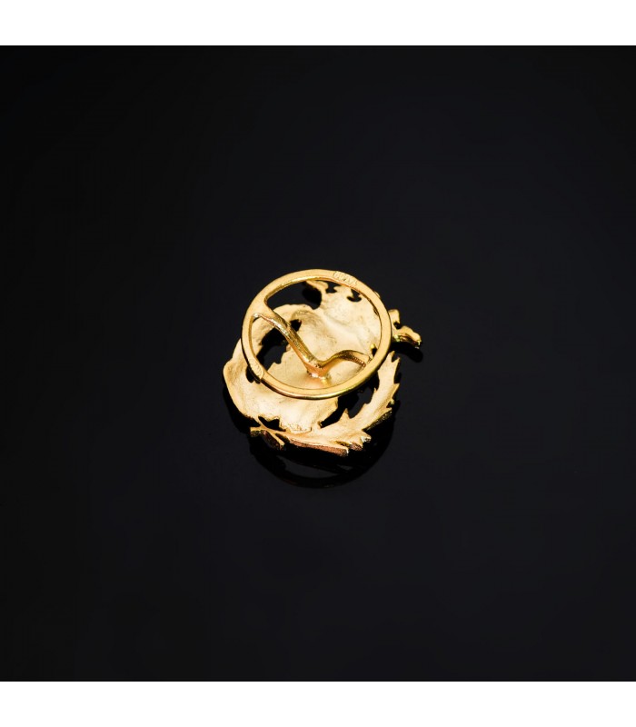 Insignia Ciencias exactas Oro 18K - Pin profesiones - carreras universitarias - emblema, escudo de oro