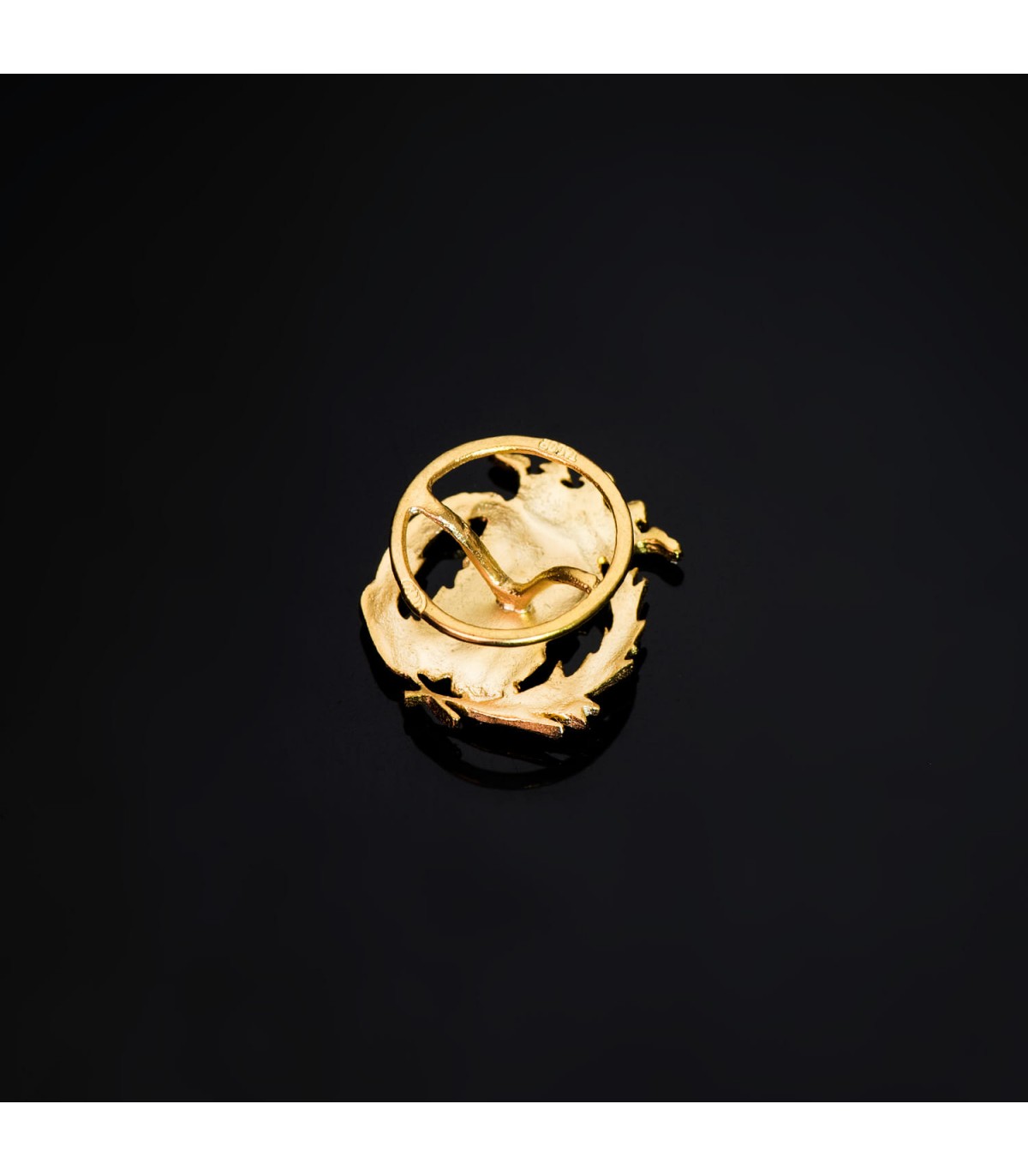 Insignia Ciencias exactas Oro 18K - Pin profesiones - carreras universitarias - emblema, escudo de oro