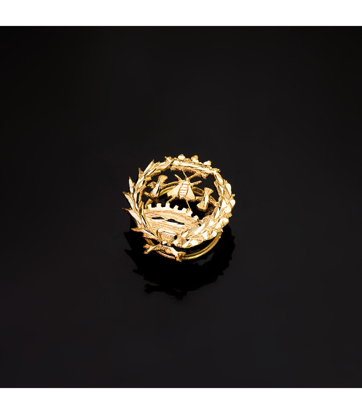 Insignia profesional Económicas Oro 18K - Pin profesiones - carreras universitarias - emblema, escudo de oro