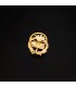 Insignia profesional Geología Oro 18K - Pin profesiones - carreras universitarias - emblema, escudo de oro