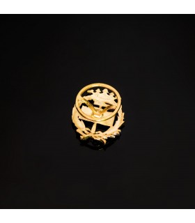 Insignia profesional Geología Oro 18K - Pin profesiones - carreras universitarias - emblema, escudo de oro
