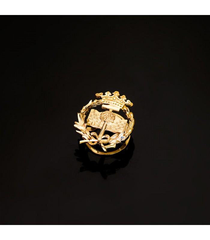 Insignia profesional Geología Oro 18K - Pin profesiones - carreras universitarias - emblema, escudo de oro