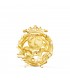 Insignia profesional Geografía Oro 18K - Pin profesiones - carreras universitarias - emblema, escudo de oro