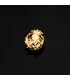 Insignia profesional Geografía Oro 18K - Pin profesiones - carreras universitarias - emblema, escudo de oro