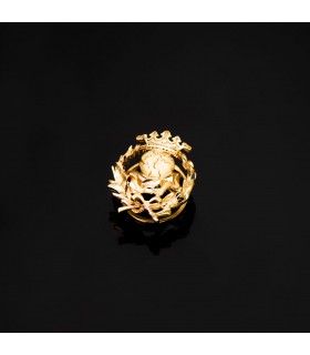 Insignia profesional Geografía Oro 18K - Pin profesiones - carreras universitarias - emblema, escudo de oro