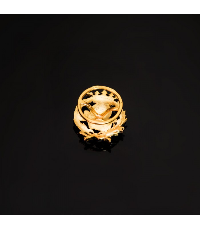 Insignia profesional Geografía Oro 18K - Pin profesiones - carreras universitarias - emblema, escudo de oro