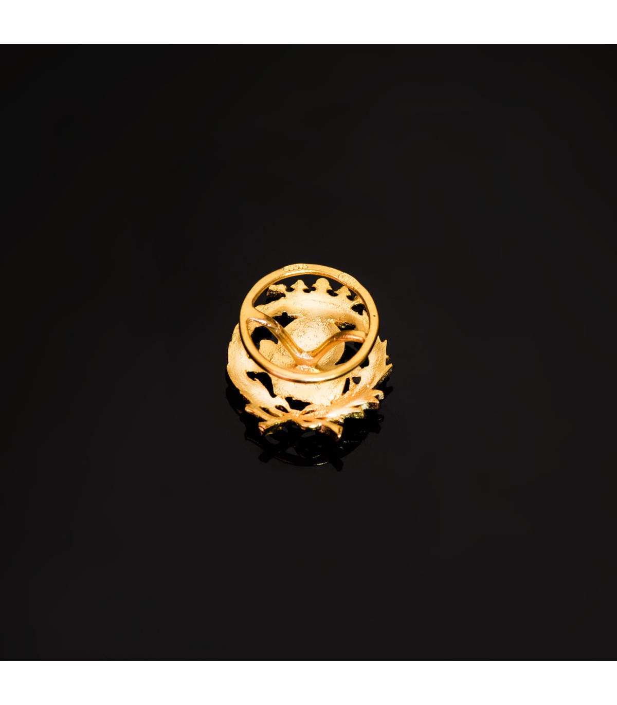 Insignia profesional Geografía Oro 18K - Pin profesiones - carreras universitarias - emblema, escudo de oro