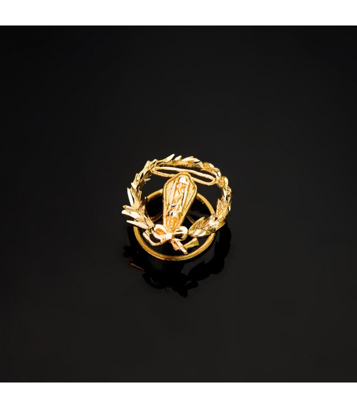 Insignia profesional Ingeniería Electrónica Oro 18K - Pin profesiones - carreras universitarias - emblema, escudo de oro