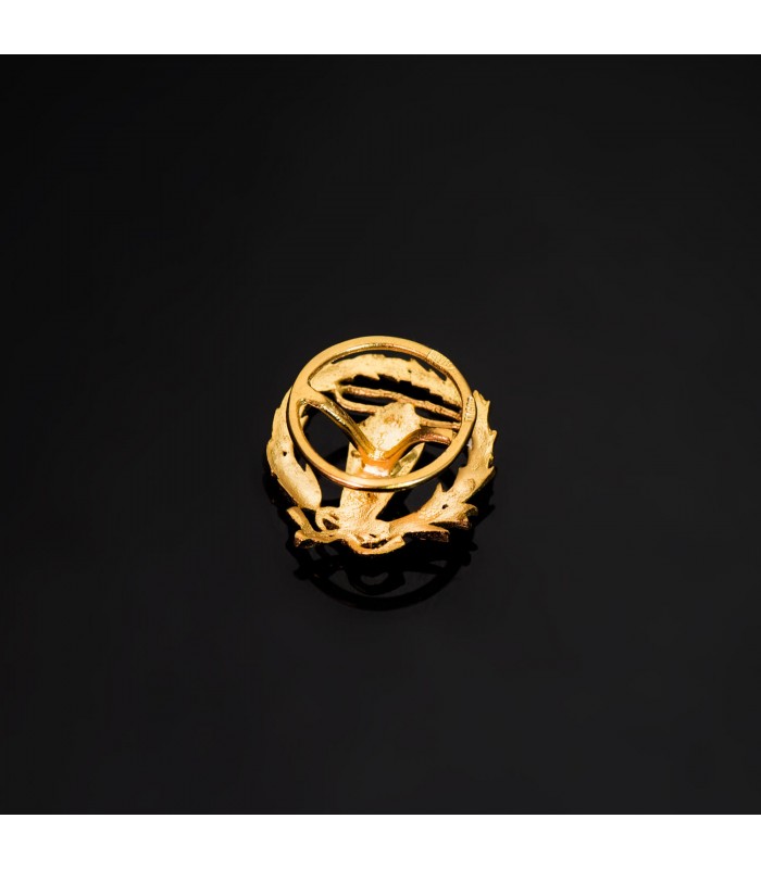 Insignia profesional Ingeniería Electrónica Oro 18K - Pin profesiones - carreras universitarias - emblema, escudo de oro