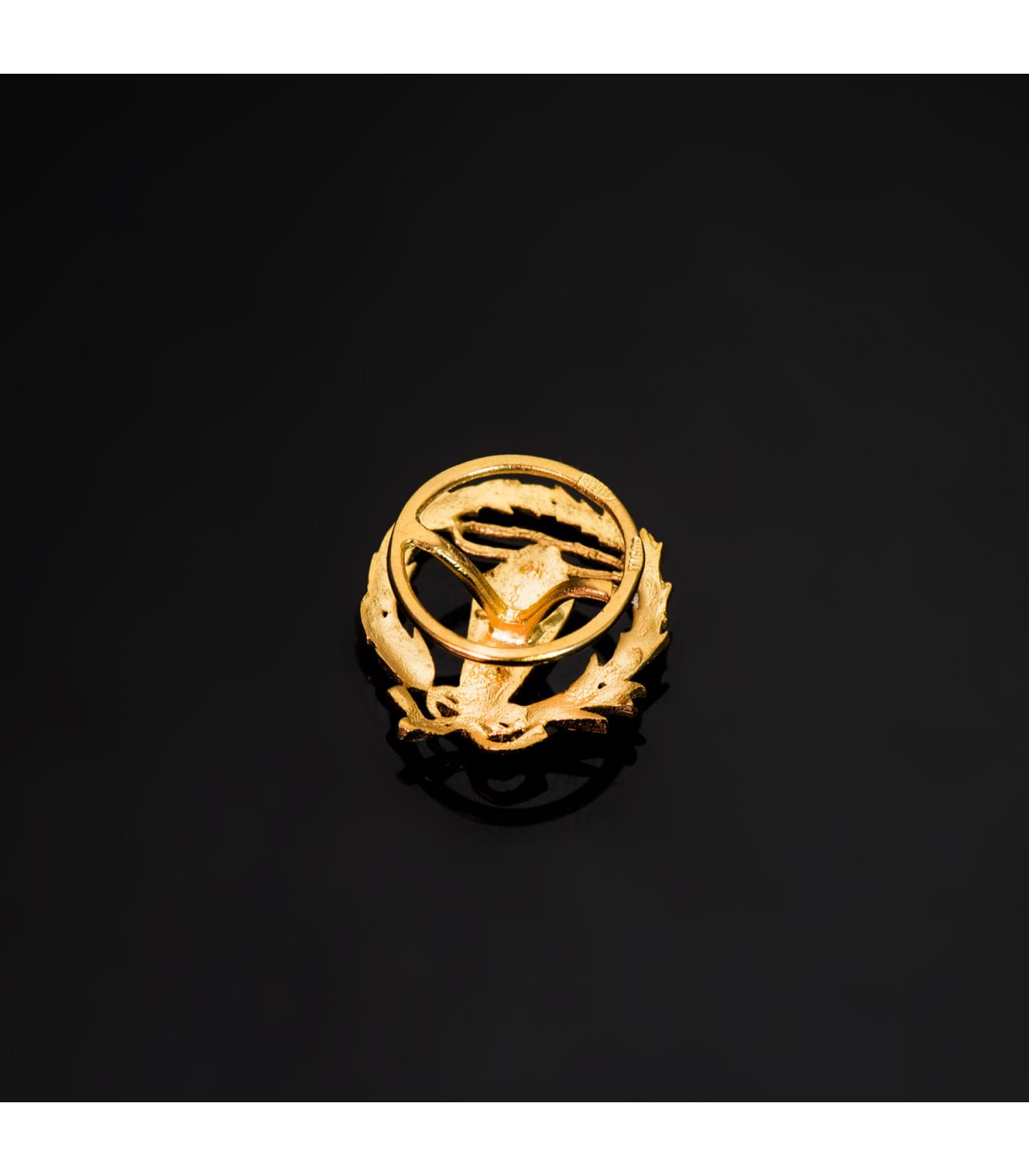 Insignia profesional Ingeniería Electrónica Oro 18K - Pin profesiones - carreras universitarias - emblema, escudo de oro