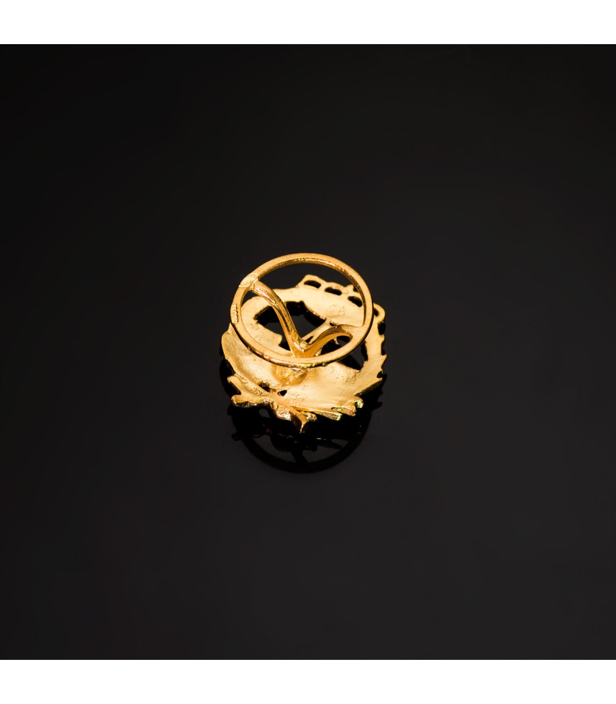 Insignia profesional Ingeniero naval Oro 18K - Pin profesiones - carreras universitarias - emblema, escudo de oro