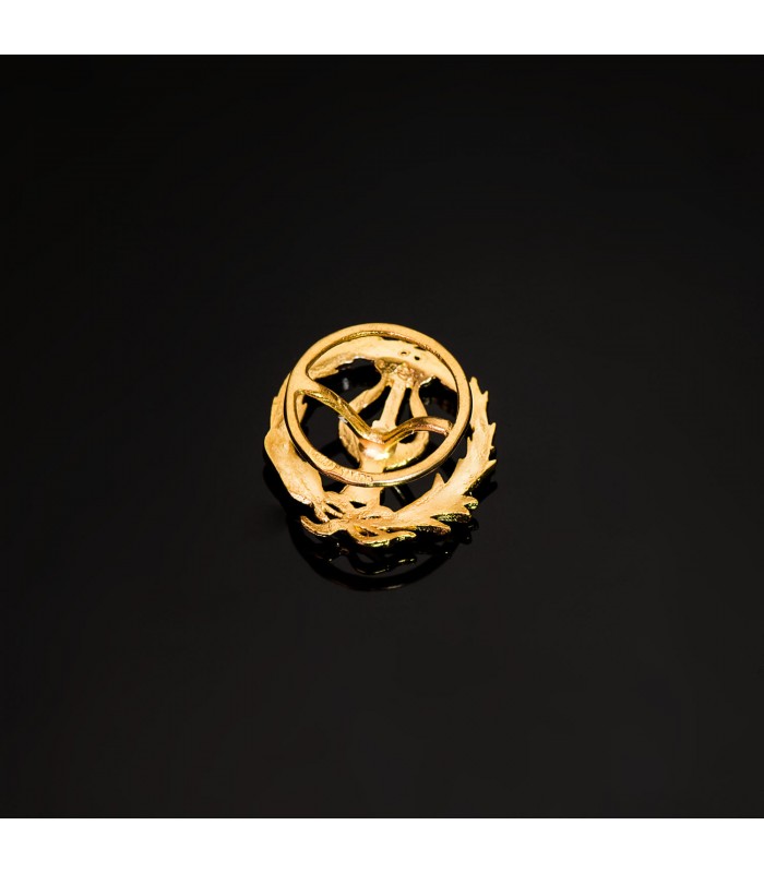Insignia profesional Músico Oro 18K - Pin profesiones - carreras universitarias - emblema, escudo de oro