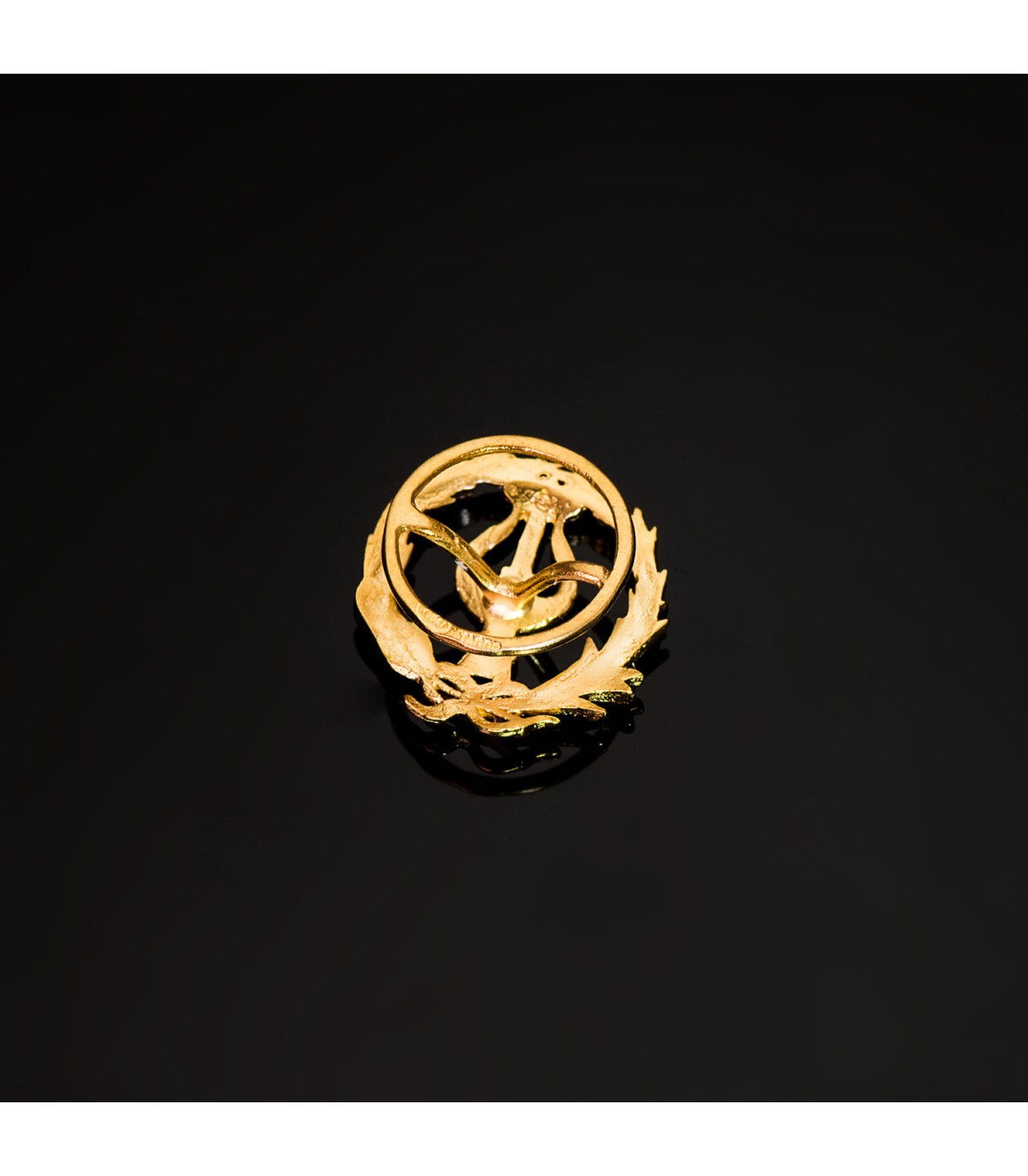 Insignia profesional Músico Oro 18K - Pin profesiones - carreras universitarias - emblema, escudo de oro